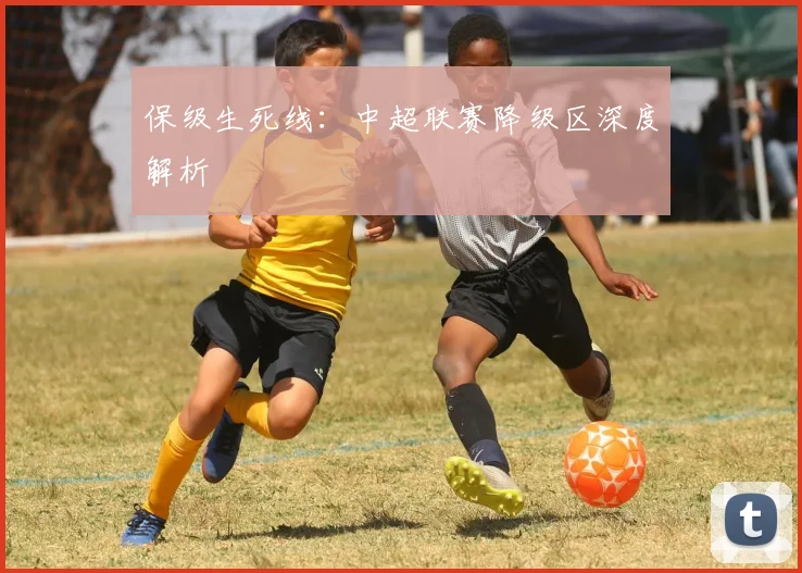 保级生死线:中超联赛降级区深度解析
