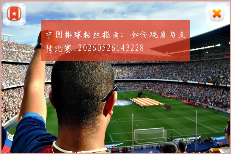 中国排球粉丝指南:如何观看与支持比赛_20260526143228